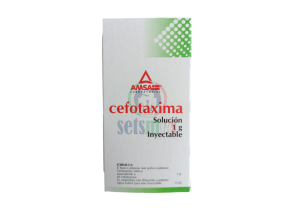 Cefotaxima