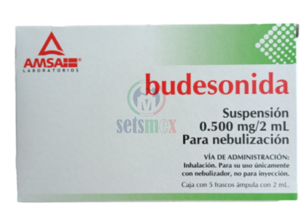 Budosenida